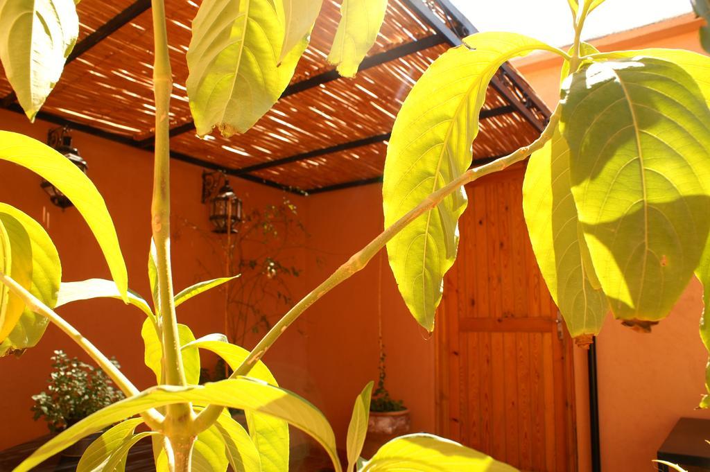 Maison d'hôtes Dar El Nath Uarzazate Exterior foto